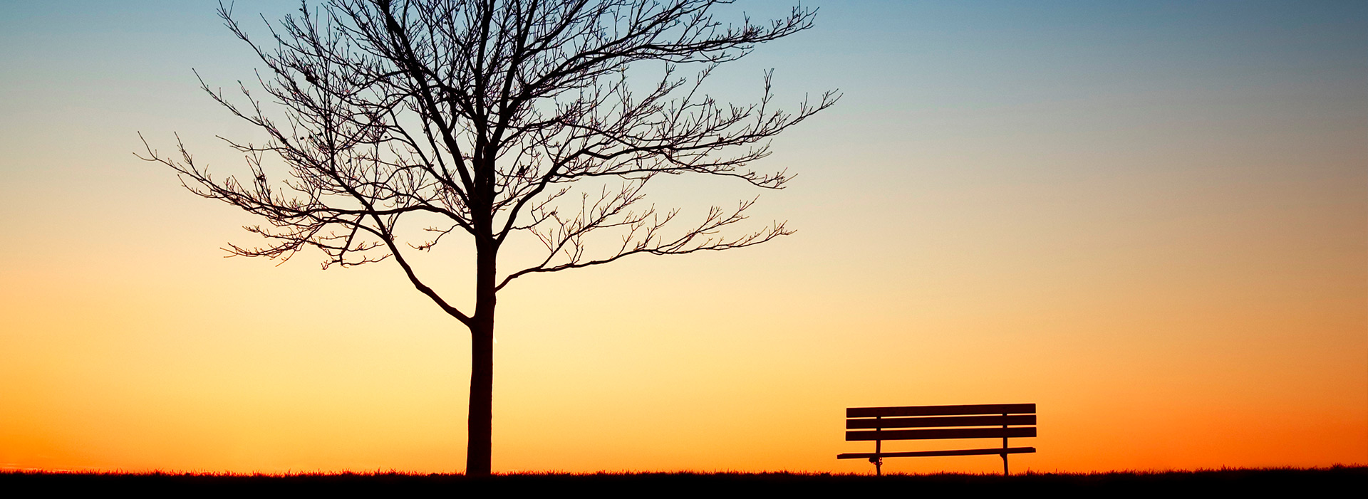 Ein einsamer Baum und eine Bank vor einem Sonnenuntergang.