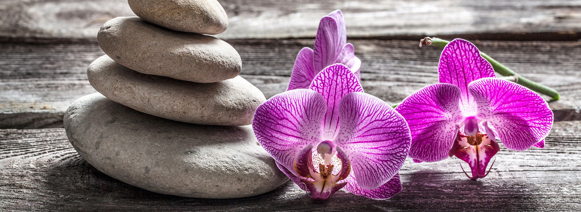 Eine Stapel Steine mit einer lila Blume daneben.